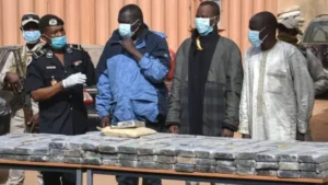 Trafic de drogue : 15 individus arrêtés lors d'une opération dans les ghettos