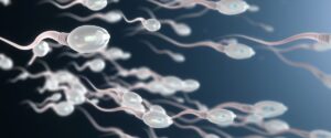 Le sperme des hommes de plus de 45 ans augmente les risques de "fausse couche" (étude)