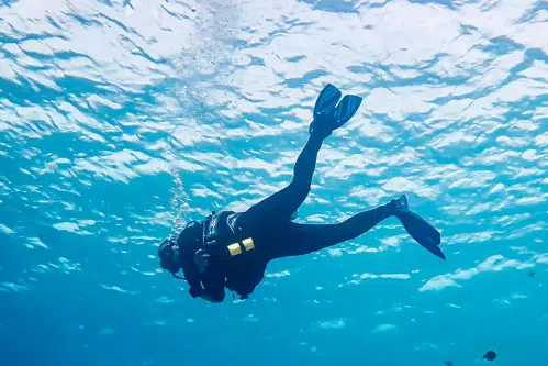 Une entreprise recrute des Plongeurs ( 10 postes)