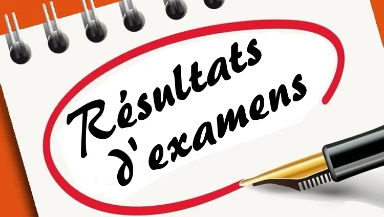 Togo : les résultats du BTS 2025 officiellement disponibles par SMS