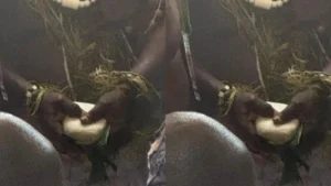 Kpessosso 2025 : La pierre sacrée est de couleur blanc-sale