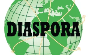 Transferts de fonds de la diaspora togolaise : un pilier de l’économie nationale