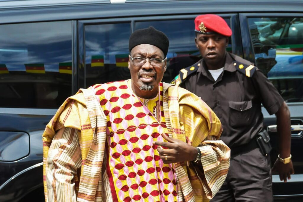Présidentielle au Cameroun : l'opposition revendique la victoire face à Biya
