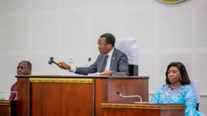 Régime parlementaire togolais : la CPP appelle à des réformes