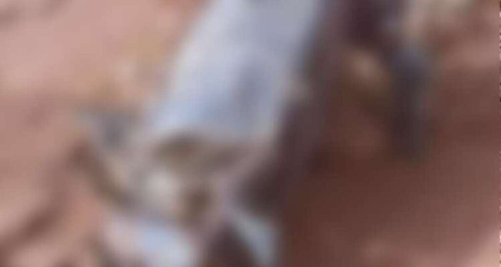Togo : Cinq français en mission humanitaire meurent dans un accident
