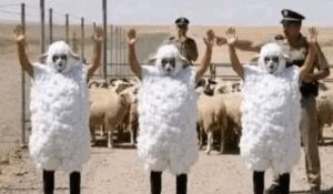 Insolite : des maliens déguisés en moutons tentant de rejoindre l’Espagne arrêtés à la frontière