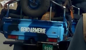 Togo : Plus d’une tonne de cannabis saisie et un trafiquant arrêté