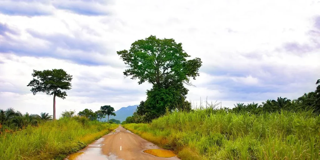 Alerte météo au Togo : canicule, sécheresse et brume jusqu'à fin février