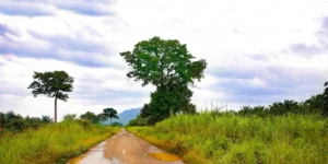 Alerte météo au Togo : canicule, sécheresse et brume jusqu'à fin février