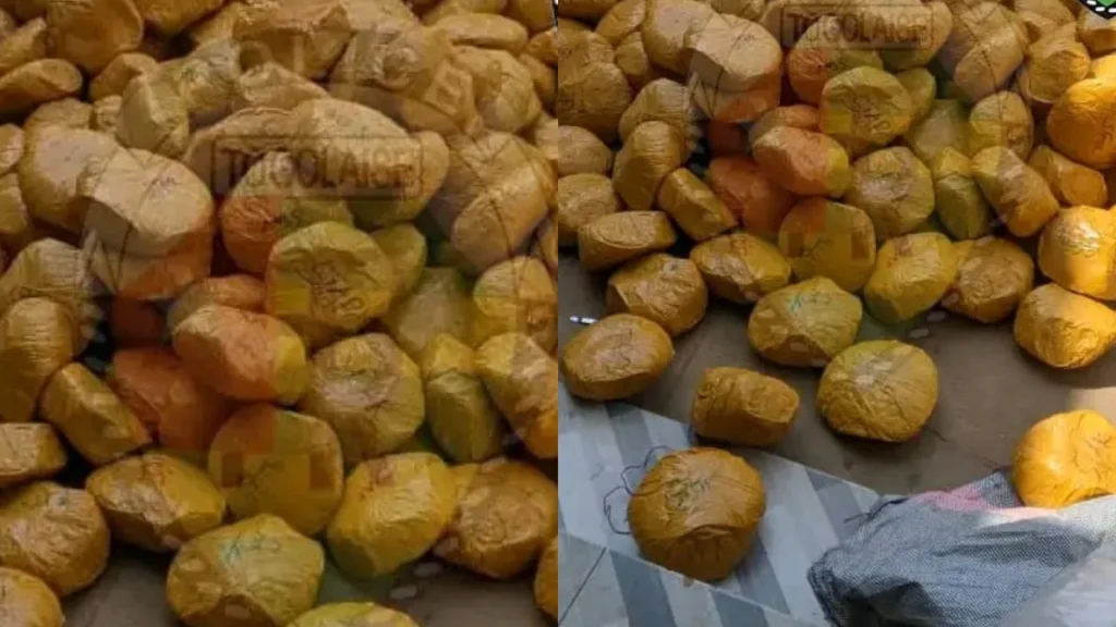 Togo : Une importante quantité de cannabis saisis à Kpalimé