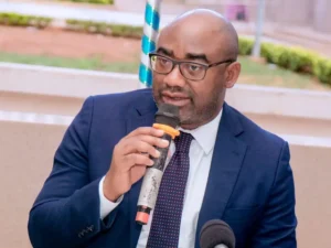 Togo : L'exploitation illégale du bois menace, le ministre Kokoroko réagit