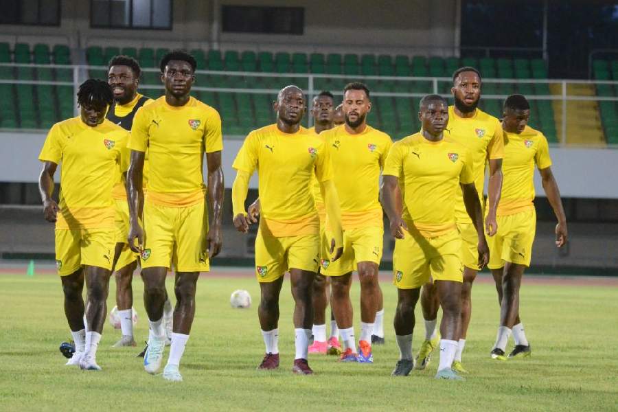 Sélectionneur des Éperviers du Togo