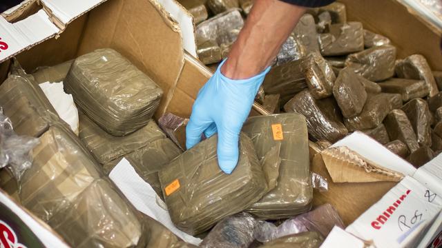 Lutte antidrogue au Togo : plus de 5 000 Kg de stupéfiants détruits