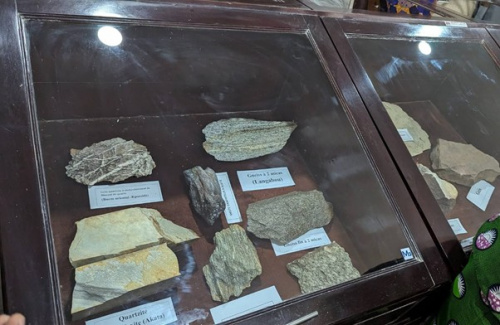 Une première ! L'Université de Lomé inaugure une salle de collection des fossiles et roches 1 85e41830362cdc2ff91b8e5e2c58f46e L