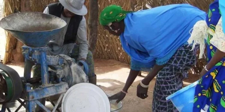 Meuniers au Togo : 15 000 FCFA par mois pour 15 heures de travail quotidien, l&rsquo;indignation du MMLK