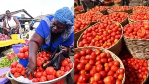Le Burkina Faso suspend ses exportations de tomates : quel impact pour le Togo ?