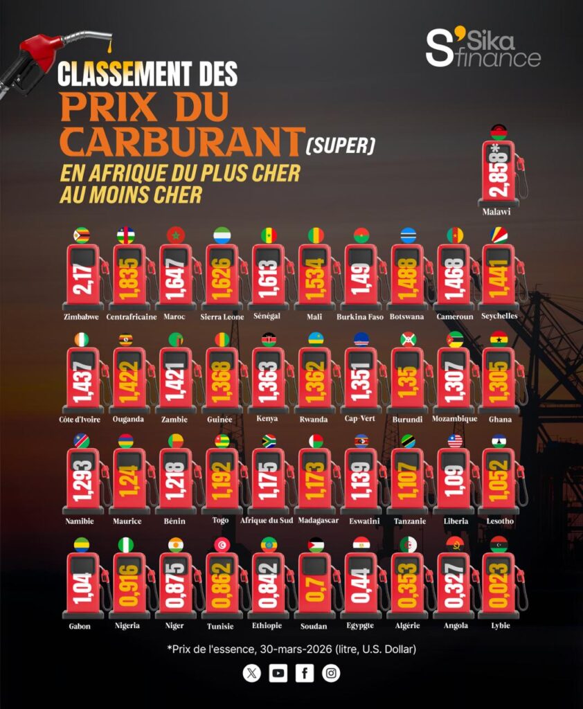 668825325 1484870830315807 2167285874427384974 n 1