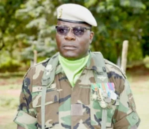 Togo : le lieutenant-colonel Tchangani Atafaï nommé à la tête des eaux et forêts